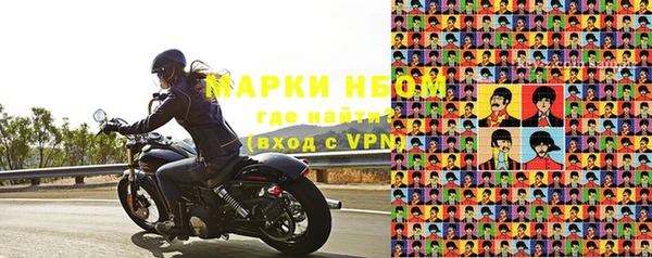 прущие грибы Балабаново