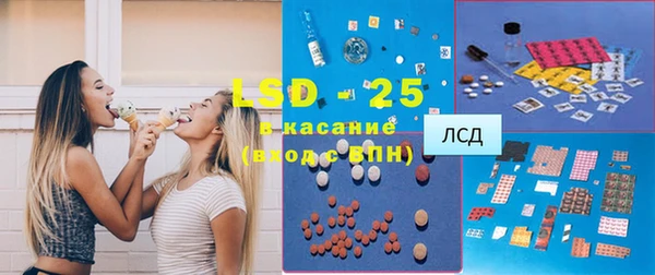 прущие грибы Балабаново