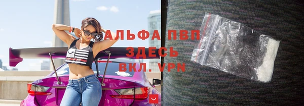 прущие грибы Балабаново